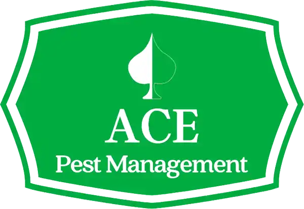 ACE Pest Management
